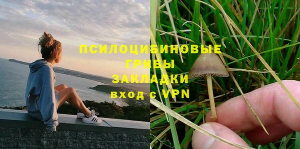 твердый Кукмор