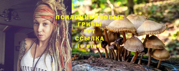 прущие крисы Ладушкин