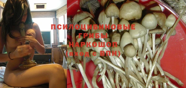 круглые Лагань