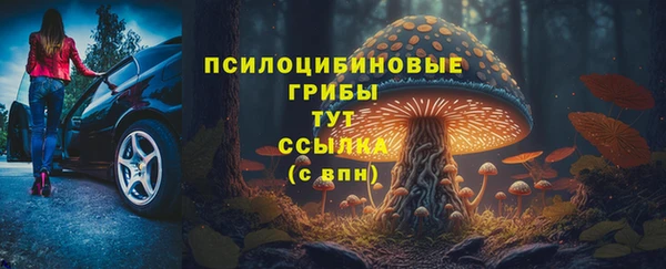 прущие крисы Ладушкин