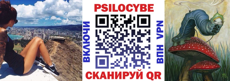 это клад Медвежьегорск ссылка на мегу рабочий сайт Псилоцибиновые грибы мицелий купить наркоту
